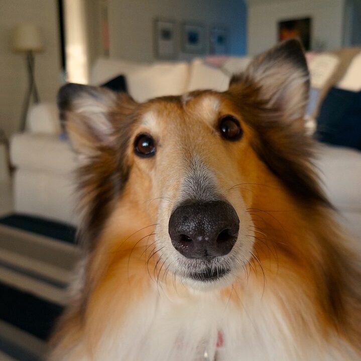 服買ったことがあるやつに聞きたいんやが