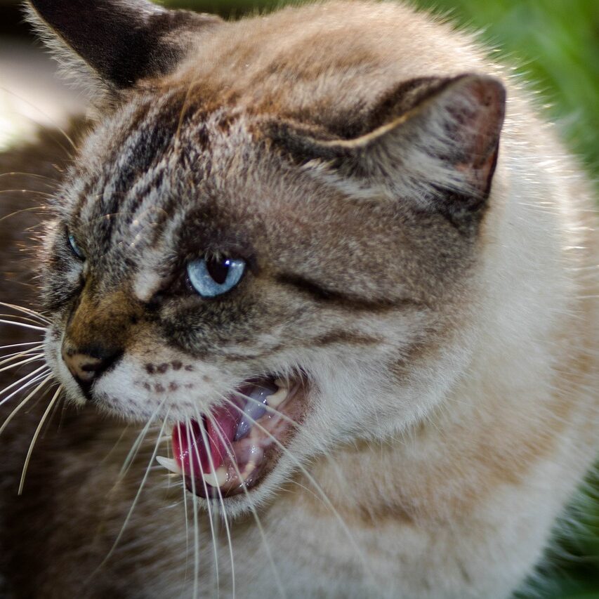 女さん「男のクセにボディバッグとパーカー身に付けてる奴はキモい！👩💢💢」