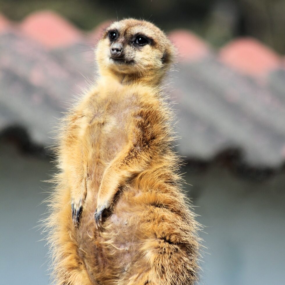 お前らどんなファッションしてんの？