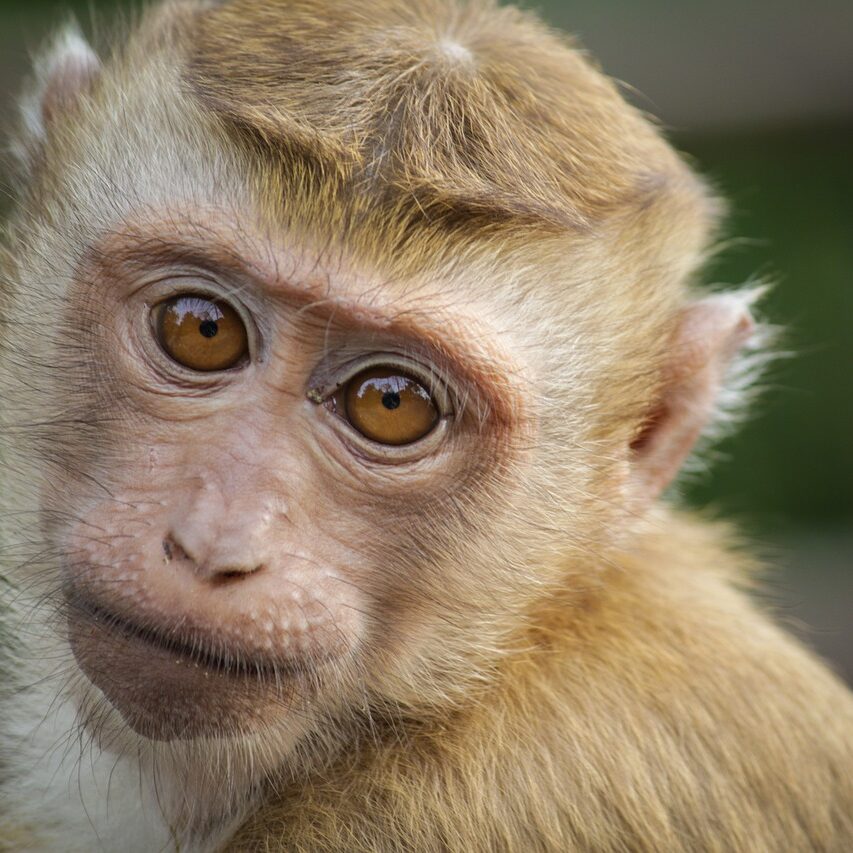 40超えてファッションに目覚めたんやが