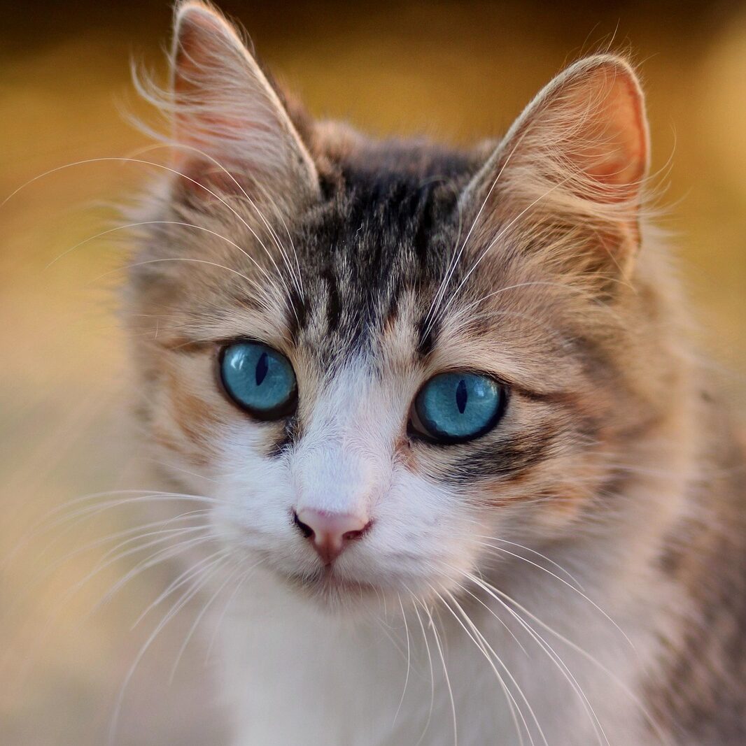 若者「金がない！金がない！」正論ワイ「そのオシャレやめたら？」若者「いやオシャレしてないんですけどwww」