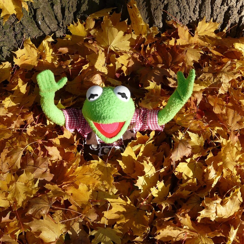 服なんか買ったか？