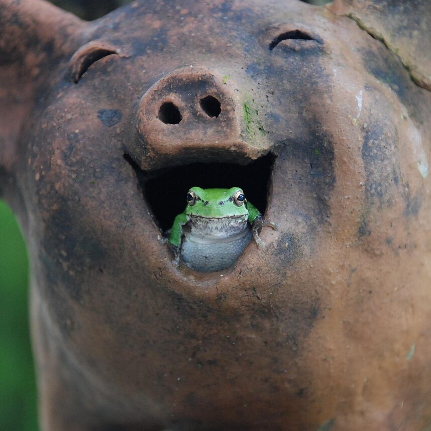 【ニューバランス】“マリー・アントワネット”着想の花柄スニーカー、ヴェルサイユ宮殿をイメージ