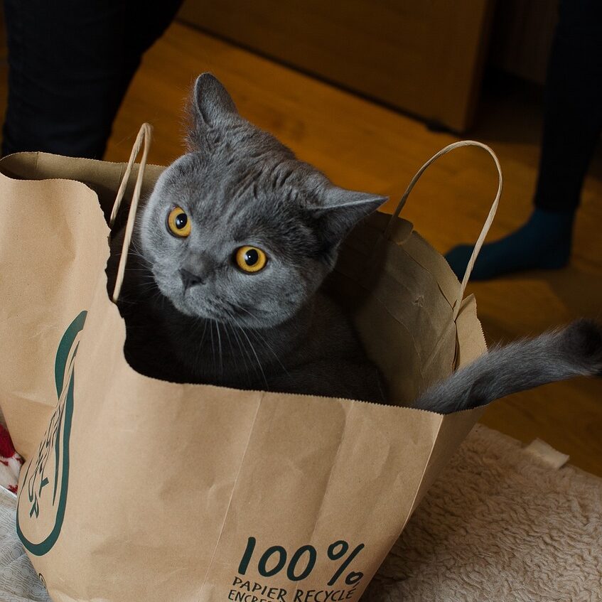 男「絶対短髪にした方がいいわ」「男は短髪だろw」←これ