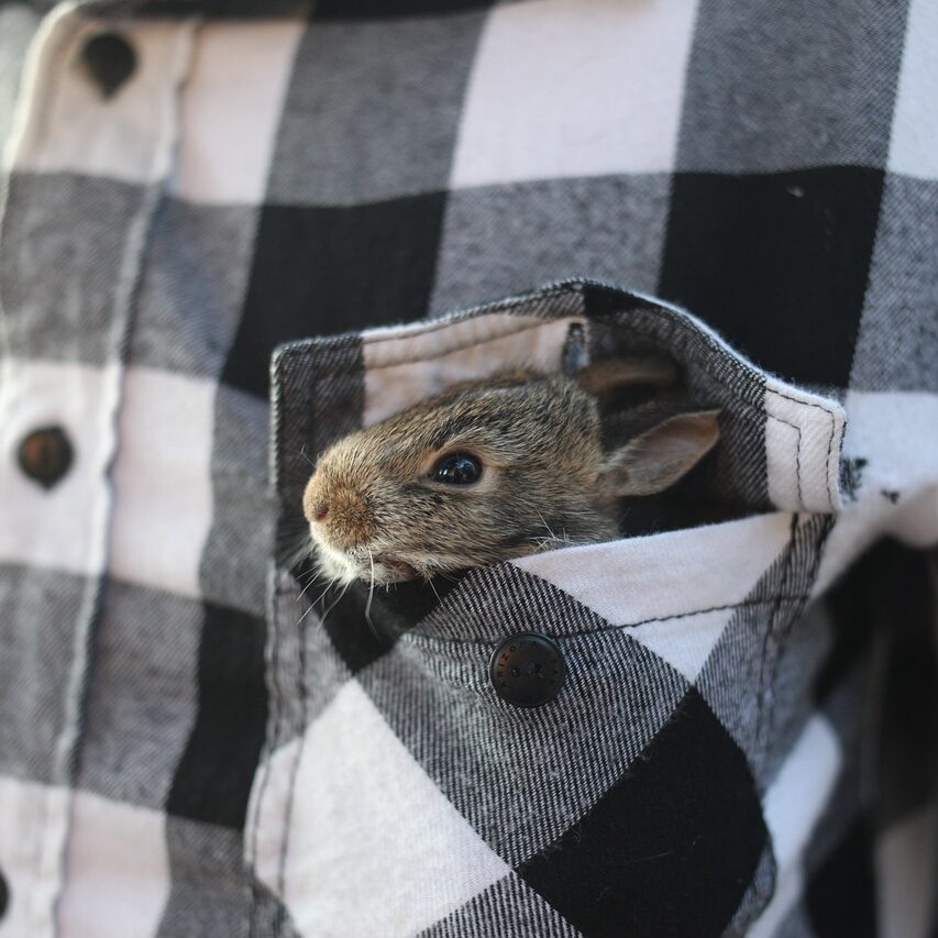 ズボンってどんなの履けばいいの