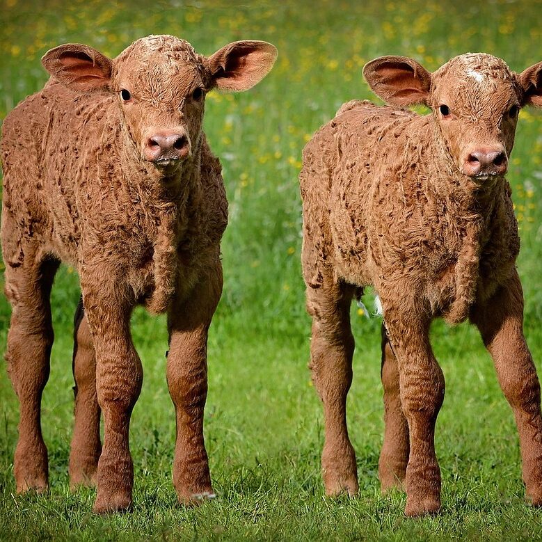 陽キャとチー牛の差wwwwwww