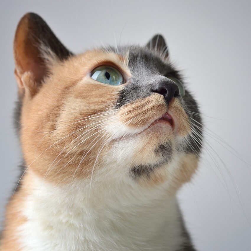 映画でファッション学ぶみたいなやつどんだけいんのやろ