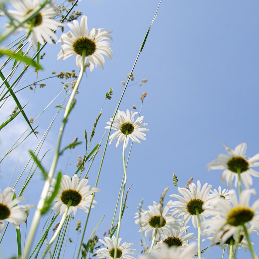 煽り抜きで夏の汗臭対策してない奴ってキモくね